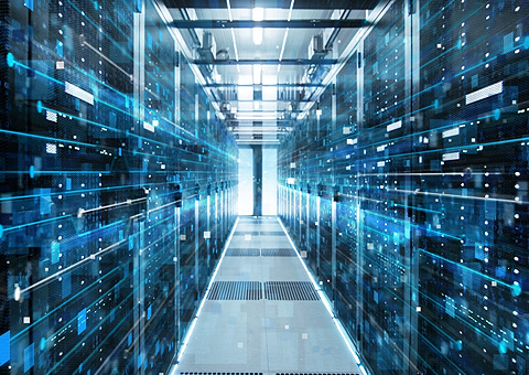IT Industry
