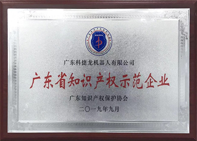 廣東省知識產(chǎn)權(quán)示范企業(yè)